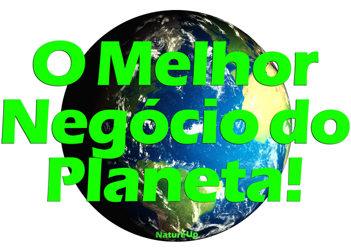 3melhornegocio
