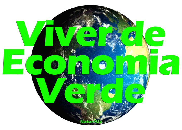4viverdeeconomia