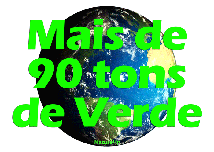 5maisde90tons